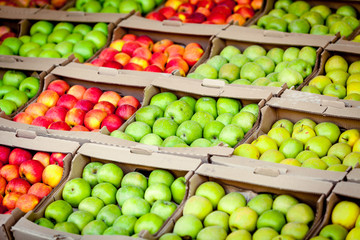 apples on market. Fresh Apple. apples background