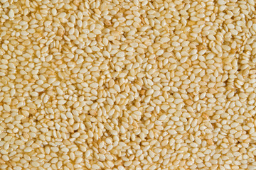 Background of pressed sesame seeds in a frozen sugar syrup