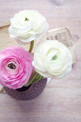 Frühlingsblumen - Ranunkeln