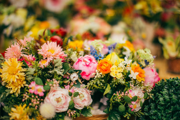 Colorful spring begins