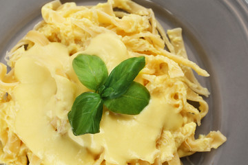Portion of delicious pasta with cheese sauce on plate, closeup