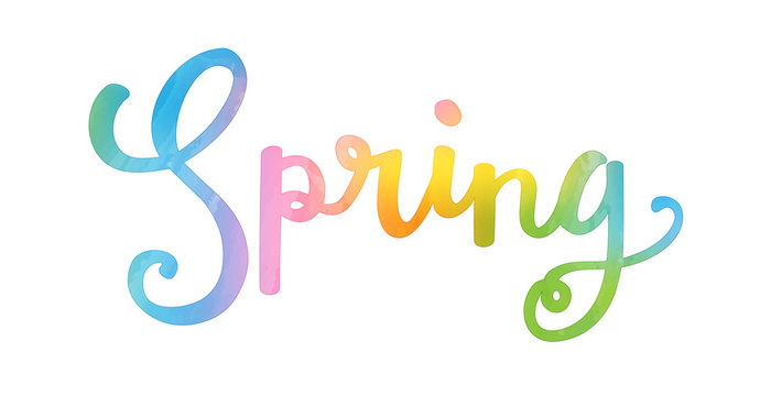 SPRING colourful vector hand lettering icon