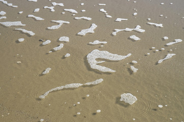 Fototapeta na wymiar Meerschaum of sea wave on the beach