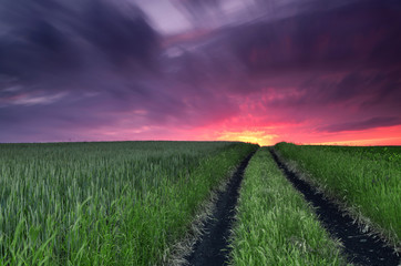 Fototapeta na wymiar Long exposure of sunset over the field of wheat