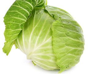 Cabbage isolated on white