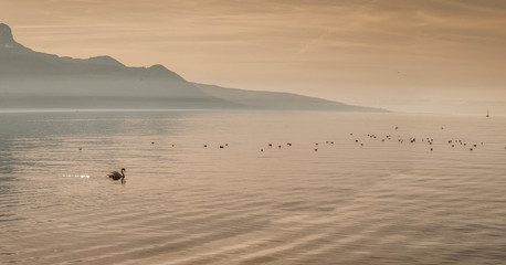 Lac alpin romantique