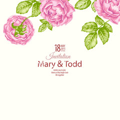 Vector illustration card with flowers.