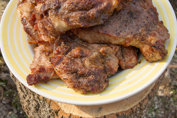 Close up view of juicy pork steak cooked on an open flame grill on big white plate..