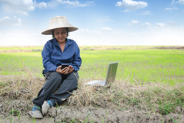 Asian Thai farmer using smartphone and laptop computer in the rice field