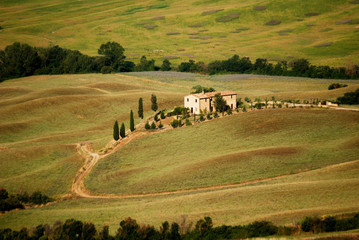 Tuscany farm among green hills and cypresses