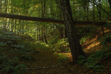 Wrzelowiecki Park Krajobrazowy.