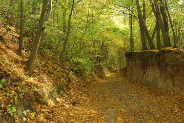 Kazimierski Park Krajobrazowy.
