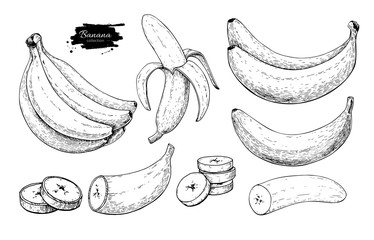 Banana set vector drawing. Isolated hand drawn bunch, peel banana and sliced pieces. Summer fruit engraved style - 140786970