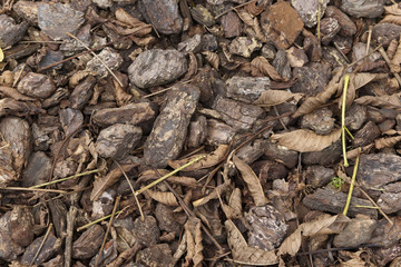 Ground texture