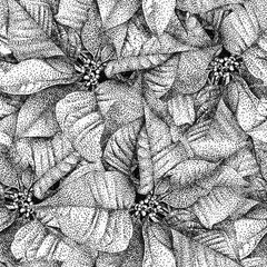 Seamless pattern with flowers poinsettia drawn by hand with black ink. .Graphic drawing,...