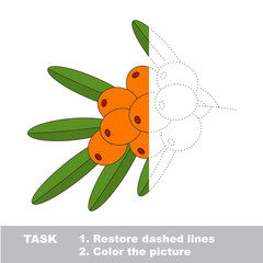 Vector trace game with berry.