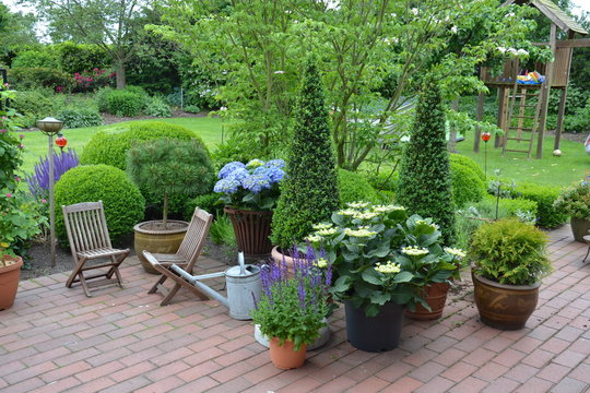 Terrasse mit Buchsbaum- Kegeln und Hortensien