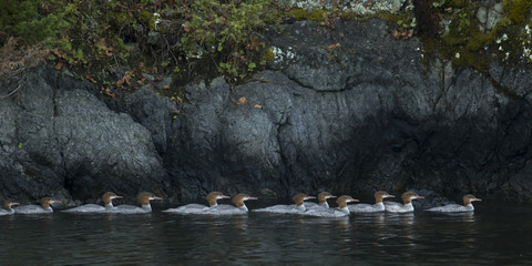 Lake of the Woods, Ontario, Canada