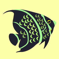 angelfish the fish a black   illustration.