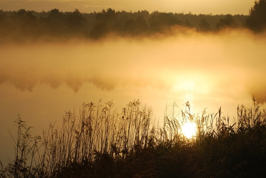 Dzierzkowice Wola, Mlyn.