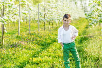 Beautiful little boy in a blooming garden in the spring.