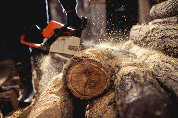 Cutting wood with chainsaw at backyard, lumberjack work profession.