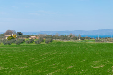 Fototapeta na wymiar Panorama campagnolo sul Lago di Bolsena