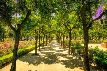 wonderful garen in the sun