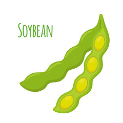 Soybean, vegetarian food. Organic vegetable, healthy bean. Cartoon flat style.