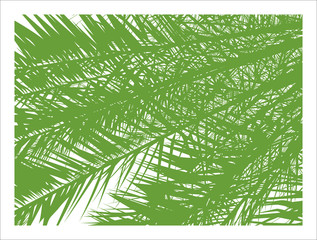 very detailed illustration palm leaves, modern graphic stencil background, green on white, vector