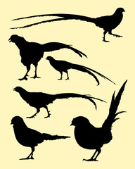 Fototapeta premium Pheasant birds animal silhouette. Good use for symbol, logo, mascot, web icon, sign, or any design you want.