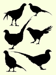 Pheasant birds animal silhouette. Good use for symbol, logo, mascot, web icon, sign, or any design you want.