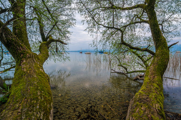 Abenddämmerung am Chiemsee im Frühling, Oberbayern in Deutschland