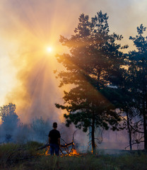 Fototapeta premium Forest fires.