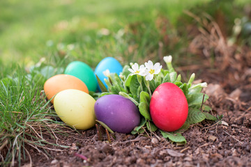 Easter eggs and flowers