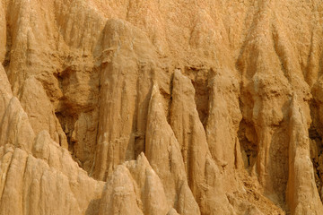 The pillar of the soil