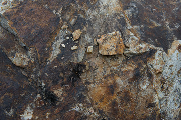 Stone Texture