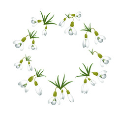 Fototapeta na wymiar Fresh spring background with snowdrops with green leaves. Vector illustration