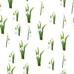 Seamless pattern with many snowdrops flowers with green stems and leaves same sizes. White background. Vector illustration