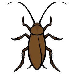 Roach