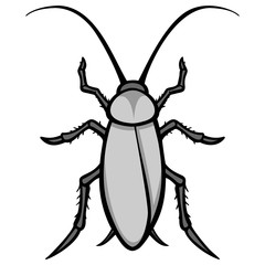 Roach Illustration