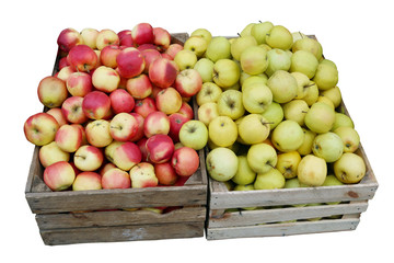 Street sale of fresh green and red apples