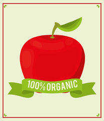 apple food 100 organic nutrition vector illustration eps 10