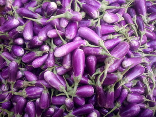 Egg plants for sale at market