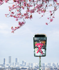 poubelle déchet environnement nettoyer ville propre ramasser civisme citoyen demain avenir urbain gestion pollution polluer quartier capitale geste tag graffiti cerisier fleur arbre printemps branche