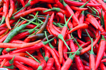 red chilli background