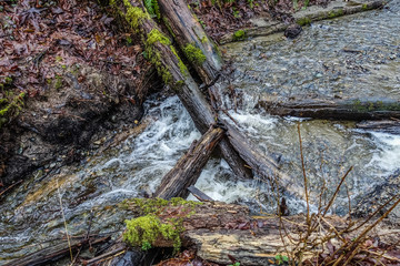 Stream With Logs Landscape