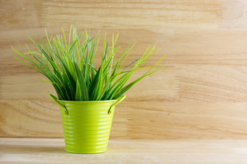 grass plastic in greeb pot color with sunshine on wooden background.
