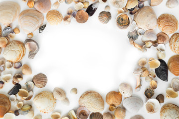 seashells background.Circle of seashells white background Circle of sea shells white background. Nautical composition. Sea shells, starfish on a white background. Flat plan, top view,