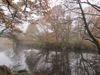 Obraz premium Autumn misty morning walk amongst Dixy woods/Calderdale collection